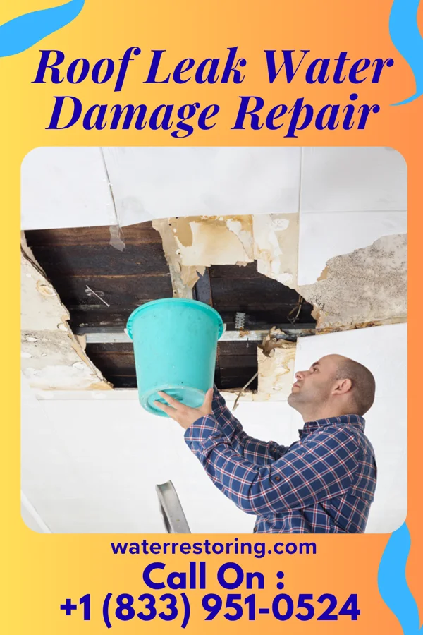 Roof Leak Water Damage Repair in Lookout Mountain, TN