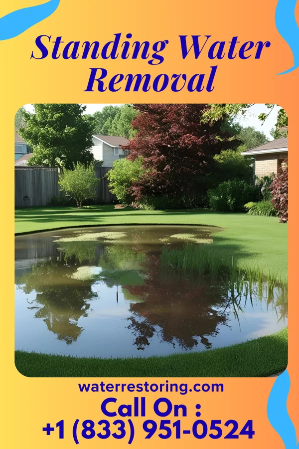 Standing Water Removal in Lookout Mountain, TN